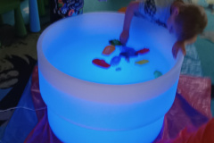 IMG_20231103_093336849