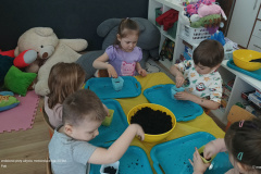 IMG_20250317_093358111