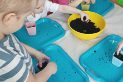 IMG_20250317_093547413