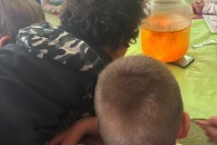 motion_photo_2000214920304312584