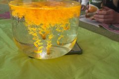 motion_photo_5470375460850130483