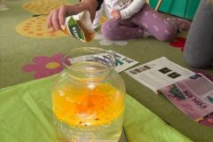 motion_photo_7320830463969878536