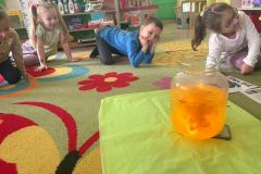 motion_photo_8469989055674180849