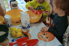 IMG_20231129_095352631