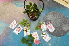 68804b68-bdf2-4fc2-a303-8448eb1060bf