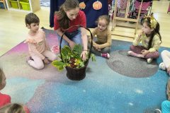 9c39e734-fb59-420a-9554-850b0c1c0f04