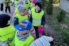 IMG-20250322-WA0025