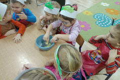 IMG_20241213_094946