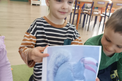 IMG_20250401_092456