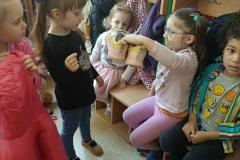 IMG_20250401_102738