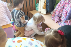 IMG_20250401_102754