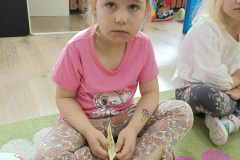IMG_20250606_092701