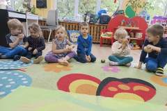 IMG_20241003_092633