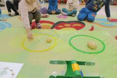 IMG_20241003_093119