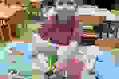 1045e18b-bedb-4a47-97e2-176e142e4c87