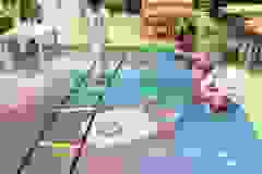8e6d56ec-99d3-4f2b-a467-c2ecc3333377