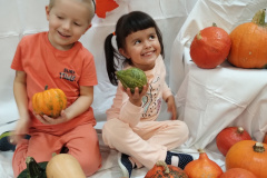 IMG_20231031_092803117_BURST000_COVER