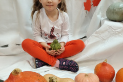IMG_20231031_103407893