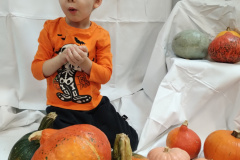 IMG_20231031_103649503_BURST000_COVER