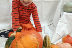 IMG_20231031_103724435