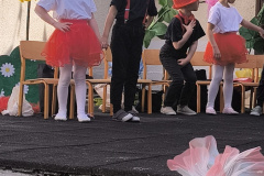 IMG_20260526_154941