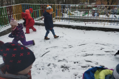 IMG_20231128_102834967
