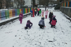 IMG_20231128_103311351