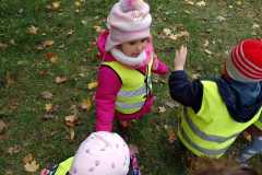 IMG-20231024-WA0031