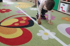 IMG_20240216_093455