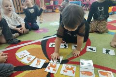 IMG_20240216_093853