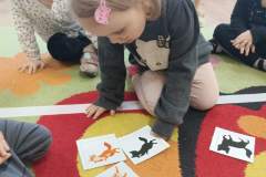 IMG_20240216_093918