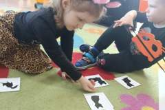 IMG_20240216_093942