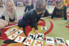 IMG_20240216_094152