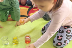 IMG_20250304_093410
