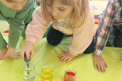 IMG_20250304_093428