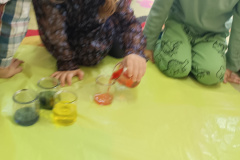 IMG_20250304_093715