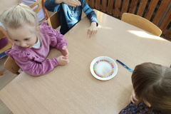 IMG_20250304_094947