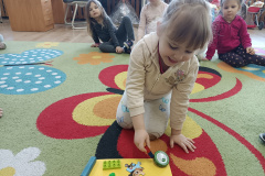 IMG_20250306_091847