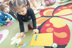 IMG_20250306_092208