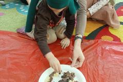 IMG_20240214_094538