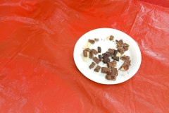 IMG_20240214_094836