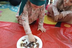 IMG_20240214_094925