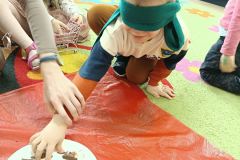 IMG_20240214_095218
