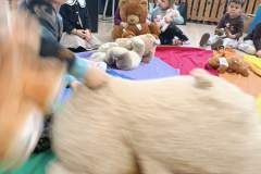 IMG_20231124_094405