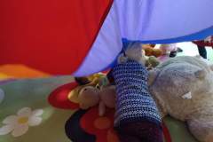 IMG_20231124_094732