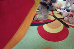 IMG_20231124_095405