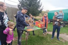 IMG_20241009_173130