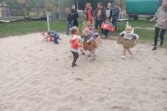 IMG_20241009_173516