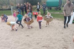 IMG_20241009_173517