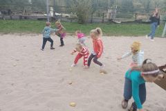 IMG_20241009_173524